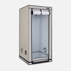 HOMEbox Ambient Q80+