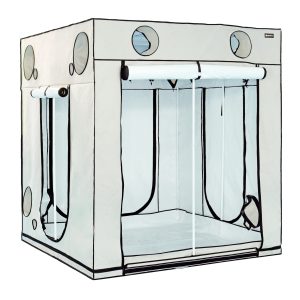 HOMEbox Ambient Q200+ Cover an