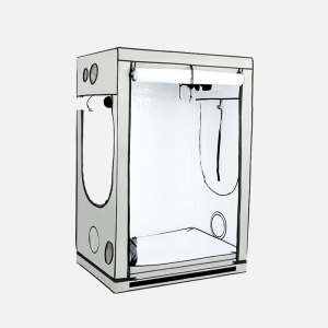 HOMEbox Ambient R120