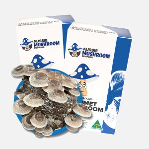 Mushroom Kit's