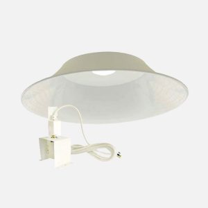 Deep Bowl's & Lamp holder