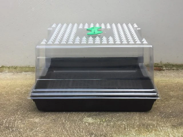 Propagation Lid & Trays