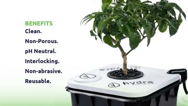 Tetra Base 6L - Image 3