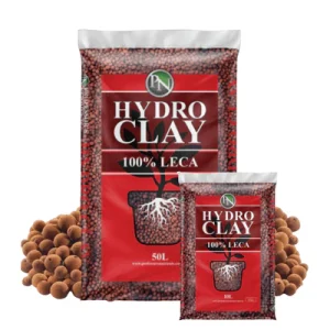 Professors Clay Balls