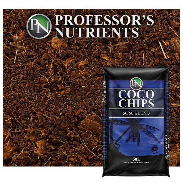 Professors Coco Chips - Image 2