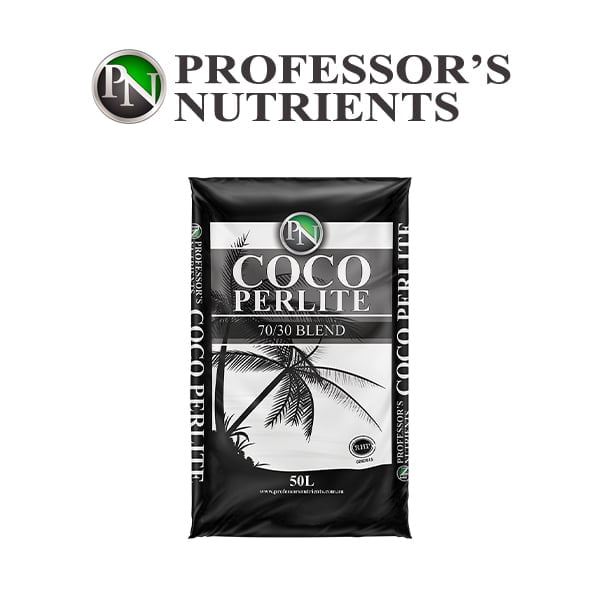 Professors Coco Perlite